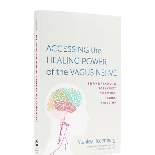 Alternative view of Accessing the Healing Power of the Vagus Nerve Book