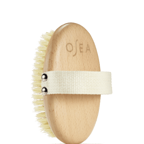 Plant-Based Body Brush - Image 3
