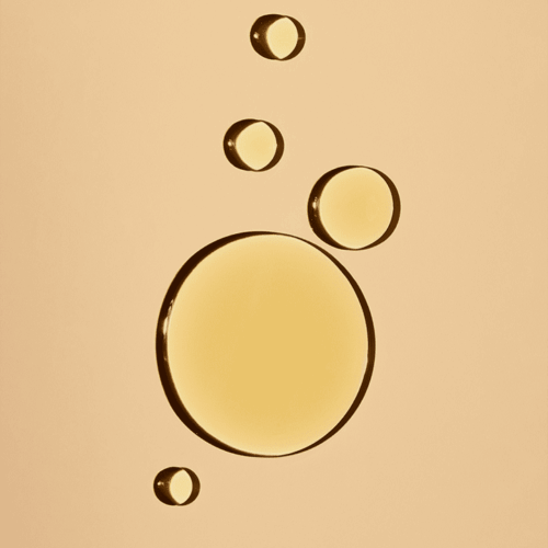 Alternative view of Undaria Algae™ Body Oil Travel Size