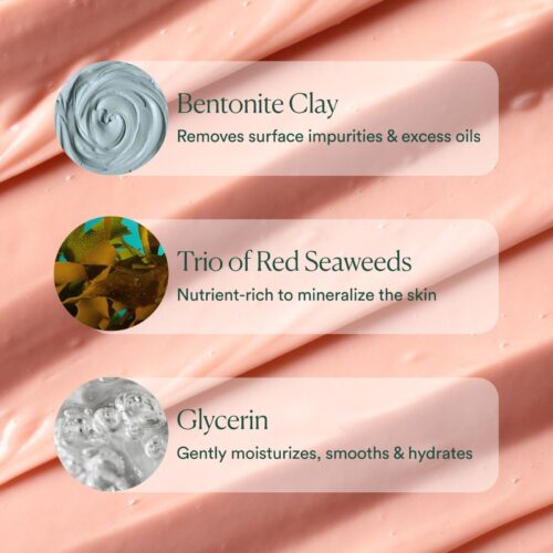 Red Algae Clarifying Mask - Image 4