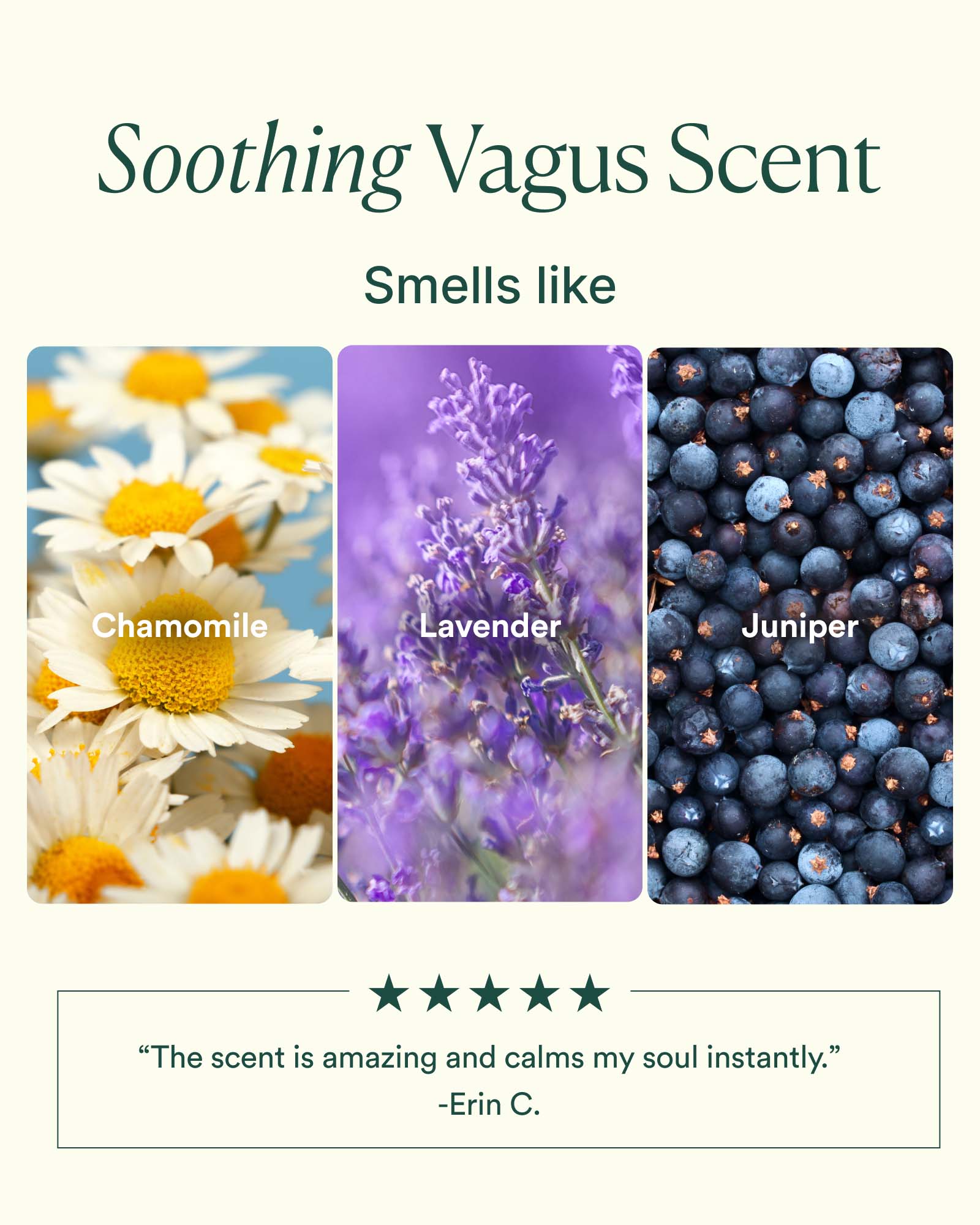 Vagus Nerve Bath Oil - Image 4