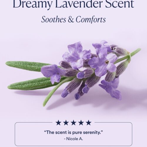 Dream Night Cream with Bio-Retinol - Image 5