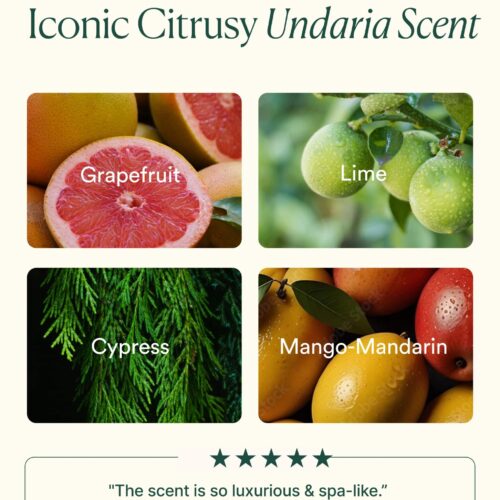 Undaria Hydrate & Glow Duo - Image 6