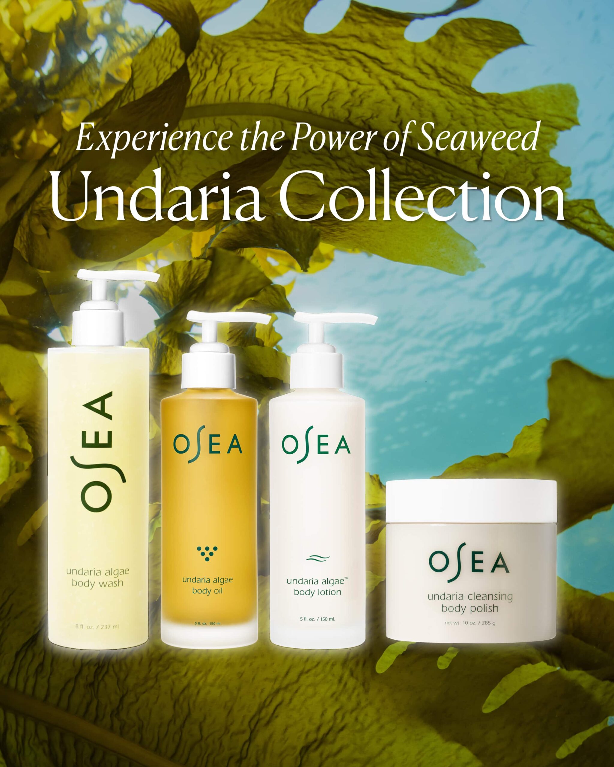 Undaria Body Collection - Image 9