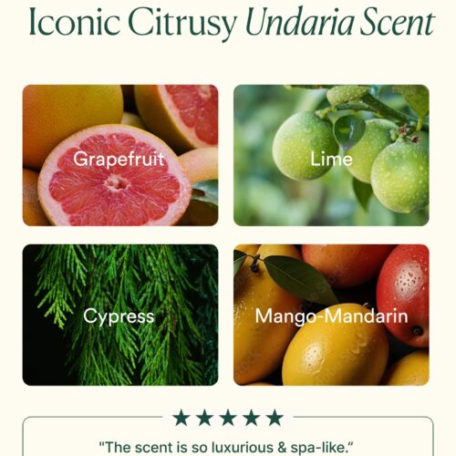 Undaria Cleansing Body Polish - Image 5