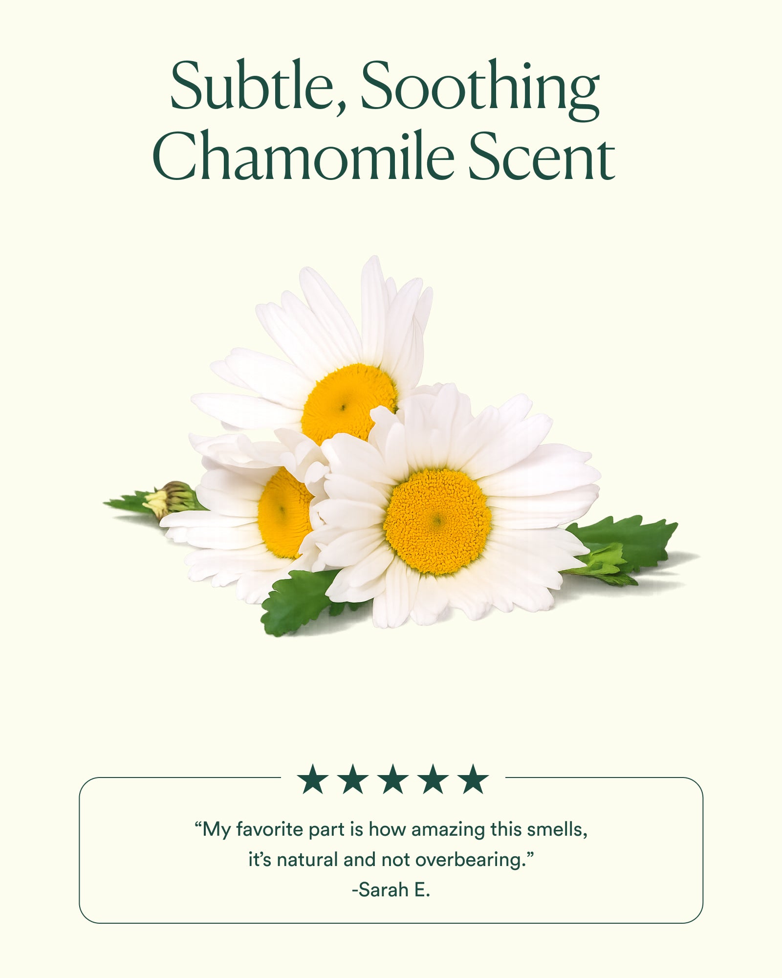 Dayglow Face Oil® - Image 6