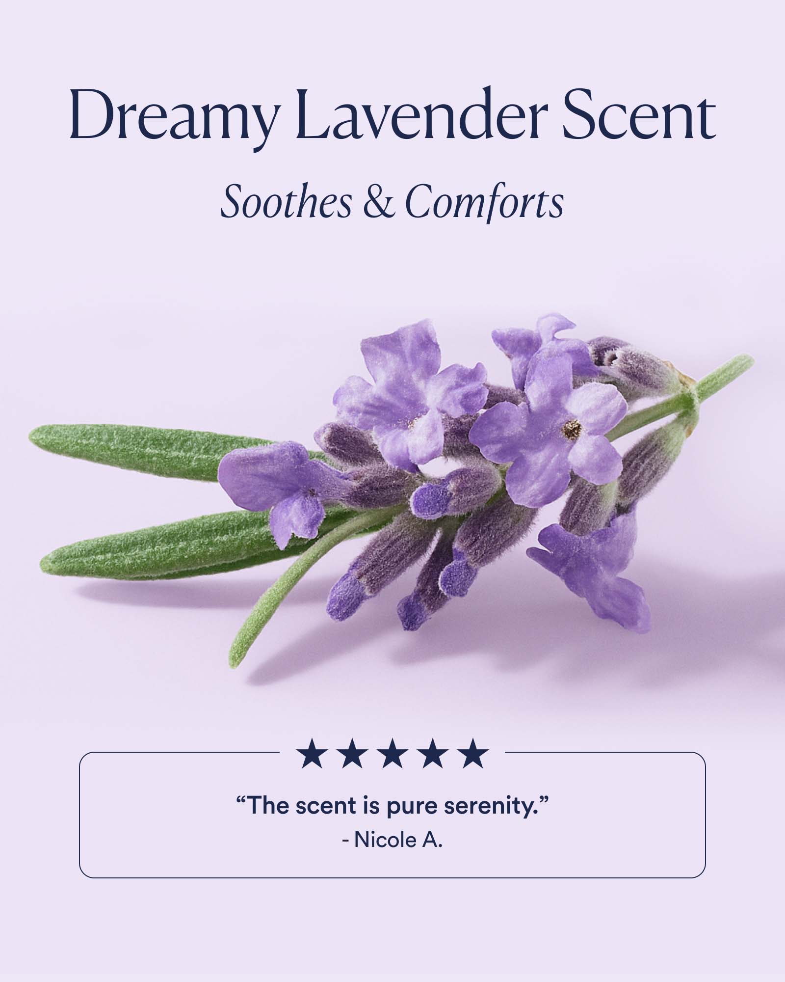 Dream Night Serum with Bio-Retinol - Image 7