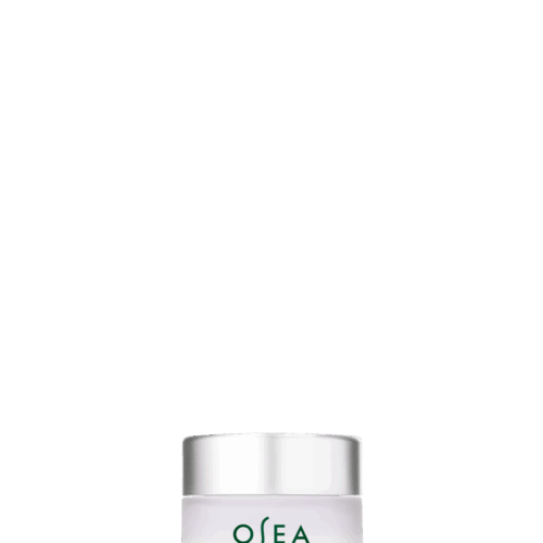 Free Deluxe Sample - Dream Night Cream Travel Size
