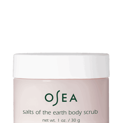 Free Deluxe Sample - Salts of the Earth Body Scrub Travel Size