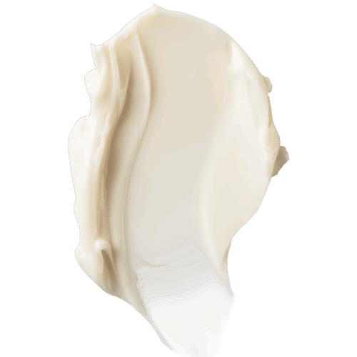 Undaria Algae™ Body Butter - Sample