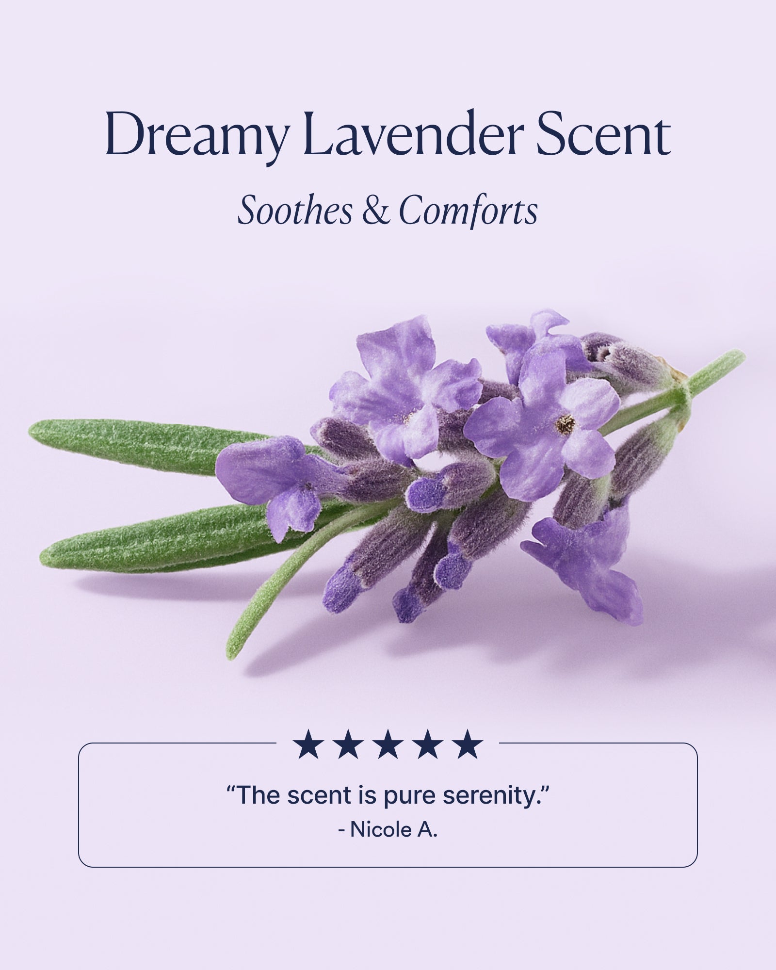 Dream Bio-Retinol Body Serum - Image 6