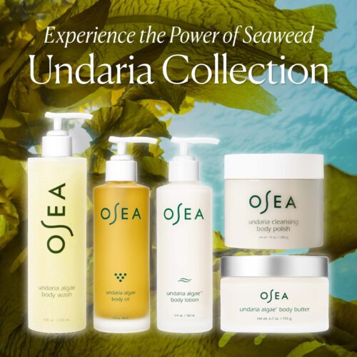 Undaria Algae™ Body Butter - Image 7