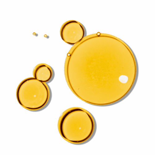 Undaria Algae™ Oil - Sample