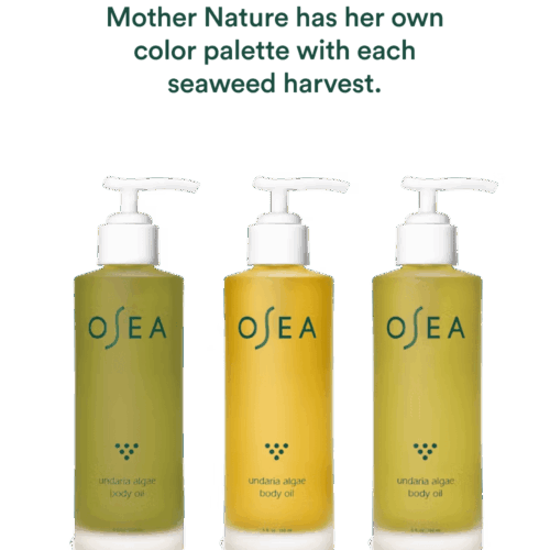 Undaria Algae™ Body Oil Travel Size - Image 4