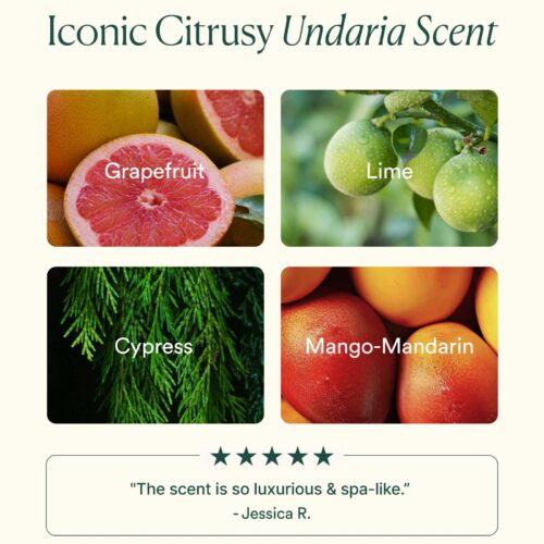 Undaria Algae™ Body Oil - Image 5