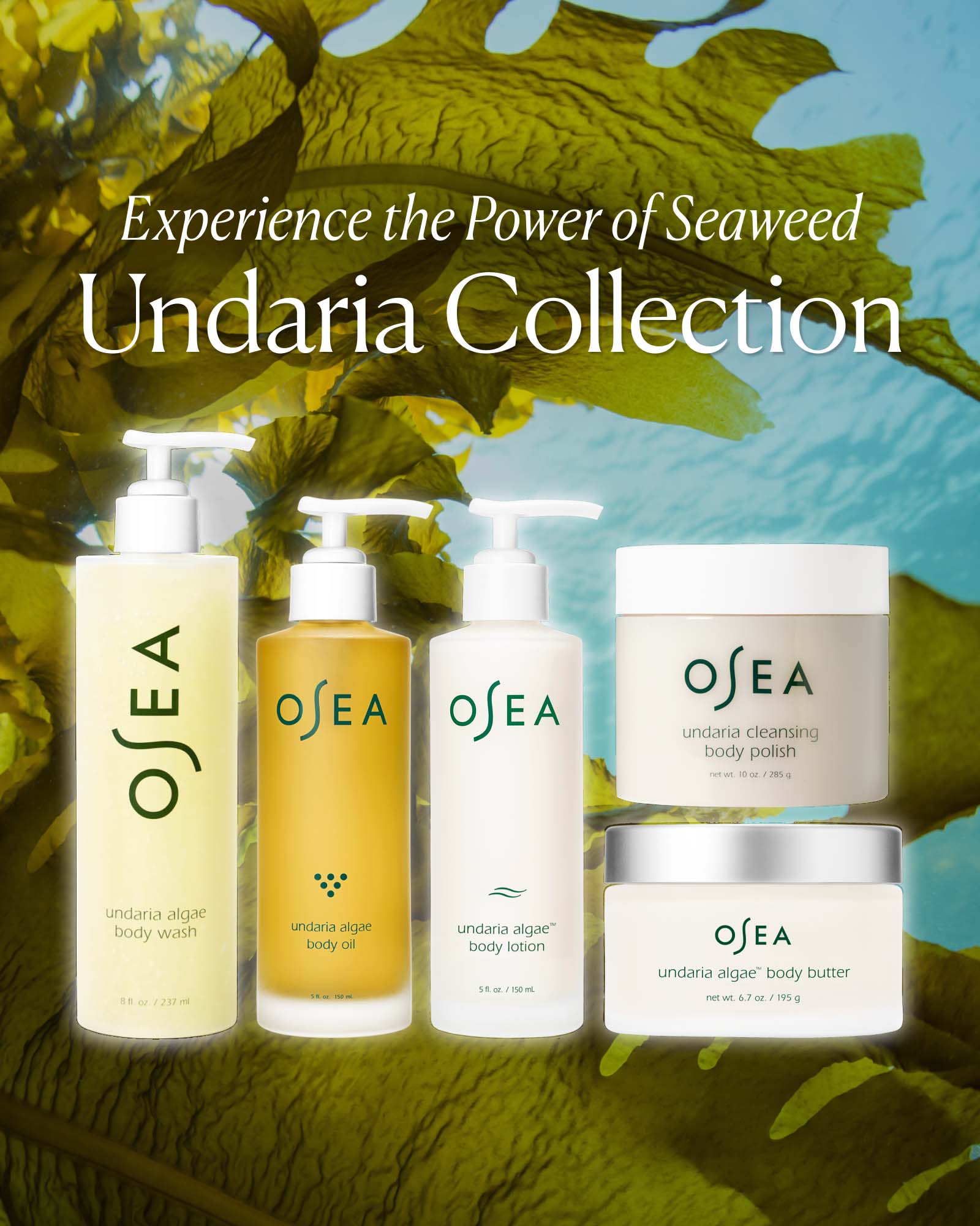 Undaria Algae™ Body Lotion - Image 7