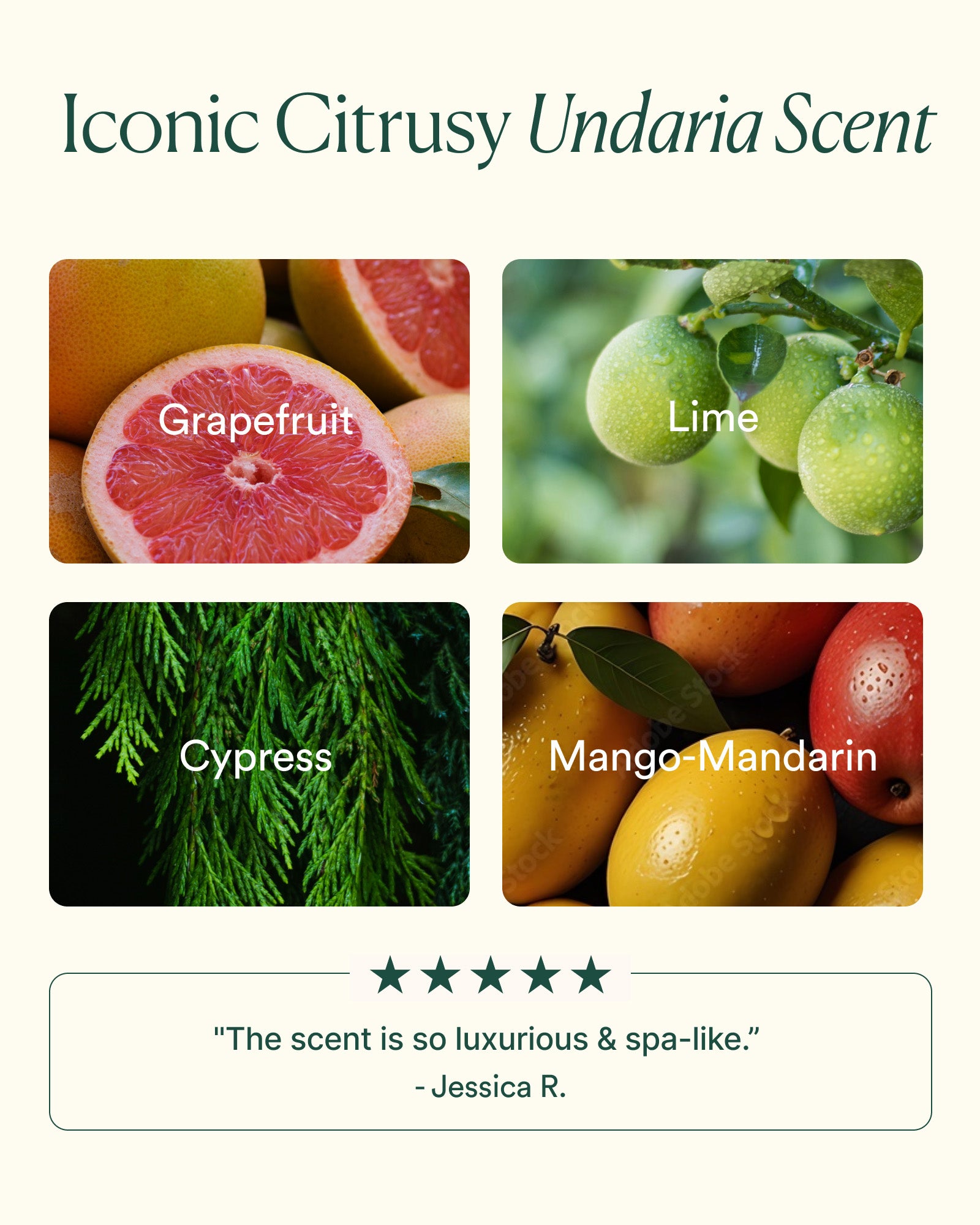 Undaria Algae™ Body Lotion - Image 5